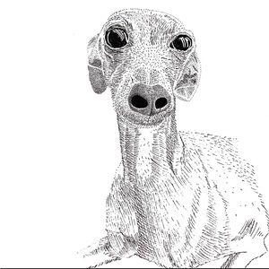 Meet your Posher, Yori